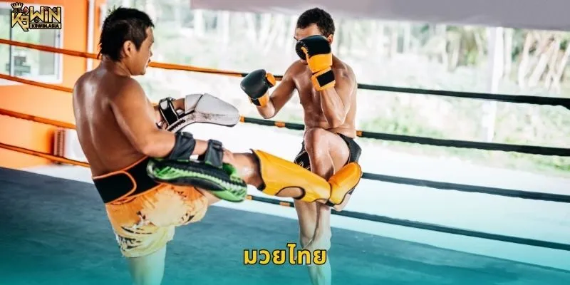 มวยไทย เดิมพันอย่างมีศิลป์ – เอกลักษณ์การเดิมพันไทยที่ K9WIN